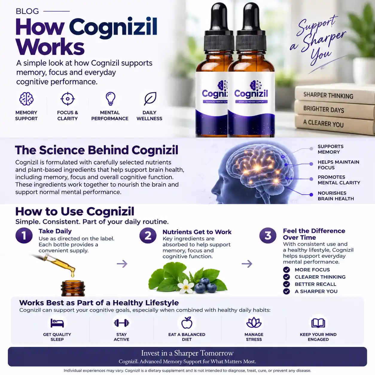 How Cognizil works